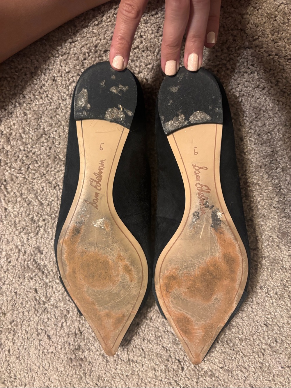 Sam Edelman Black Suede Pointed Toe Flats with Tortoiseshell Buckle - Picture 5 of 5